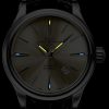Ball Trainmaster Legend NM3080D-LJ-SL - Image 3