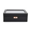 Box Wolf Axis 488016 - Image 2