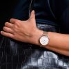 Junkers Dessau Streamline 34 962.01.03.M - Image 3