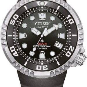 Citizen Promaster Professional Diver 300 Eco-Drive BN1024-01E