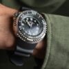 Citizen Promaster Professional Diver 300 Eco-Drive BN1024-01E - Image 3