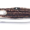 Kapesní nůž Mikov Predator Klasik 241-NP-1 KP - Obrázek 3
