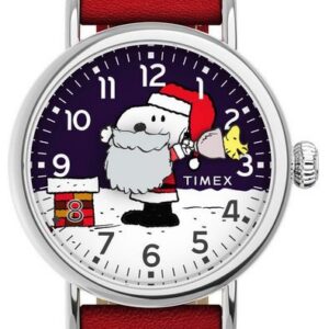 Timex Peanuts® Waterbury TW2W44400BR